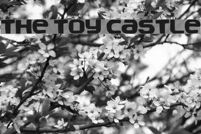 The Toy Castle Font examples