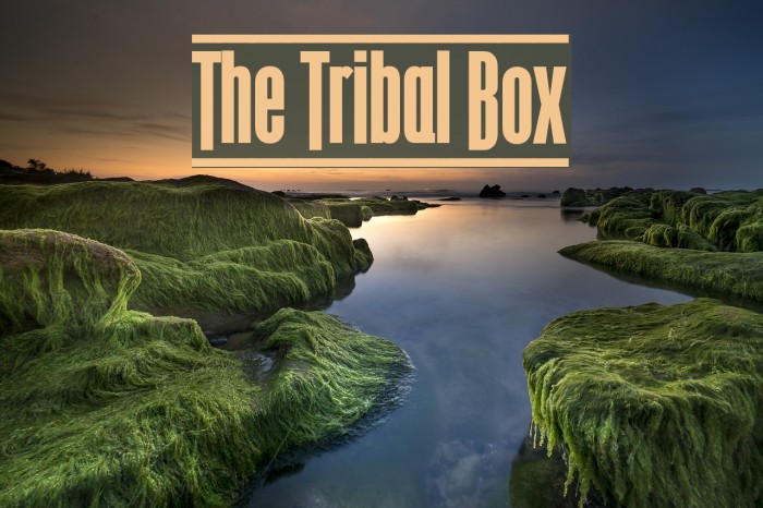 The Tribal Box फ़ॉन्ट examples
