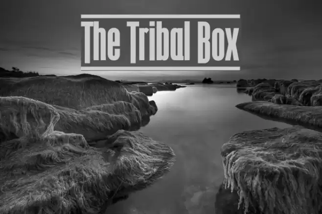 The Tribal Box Font examples
