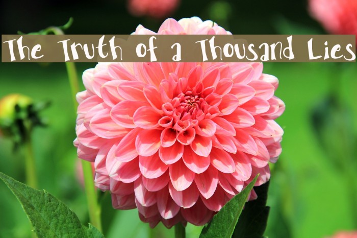 The Truth of a Thousand Lies Font examples