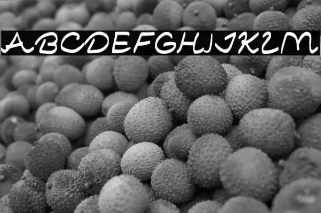 The Trymore Caratteri examples