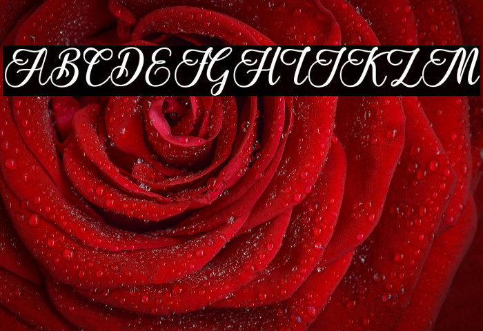 The Twelie Example 1