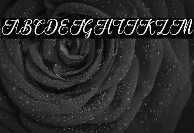 The Twelie Font examples