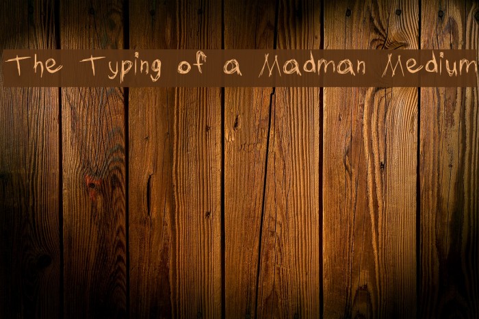 The Typing of a Madman Medium Font examples