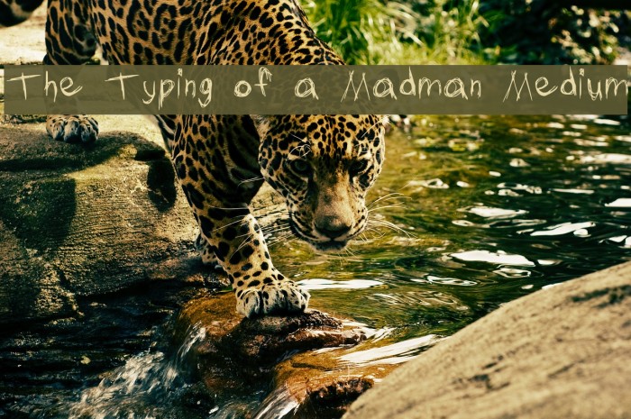 The Typing of a Madman Medium Font examples