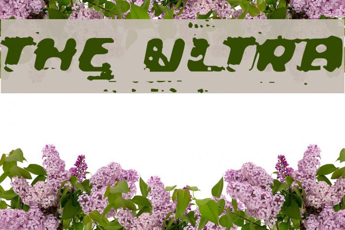 The Ultra Fonte examples