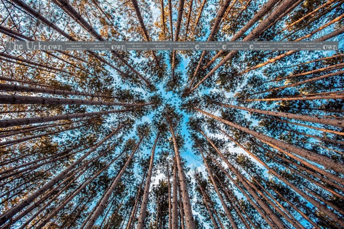 The Unknown [uncomplete_version] Example 3