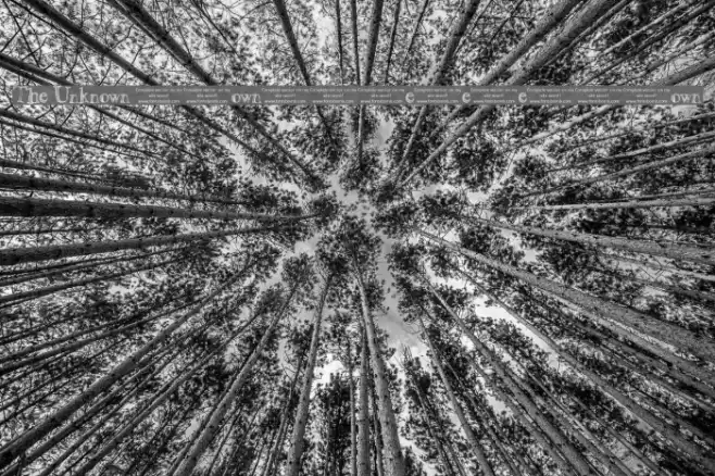 The Unknown [uncomplete_version] خط examples
