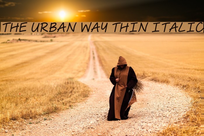 The Urban Way Thin Italic Font examples