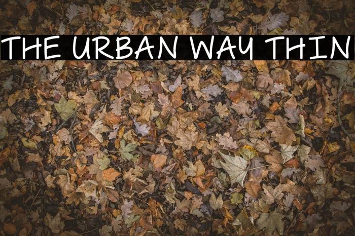 The Urban Way Thin Font examples
