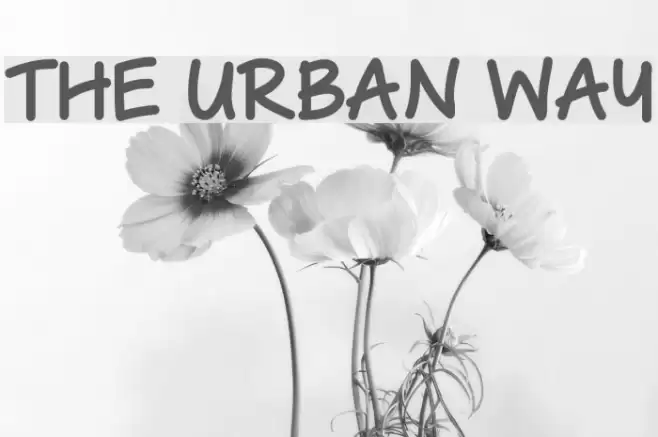 The Urban Way Font examples