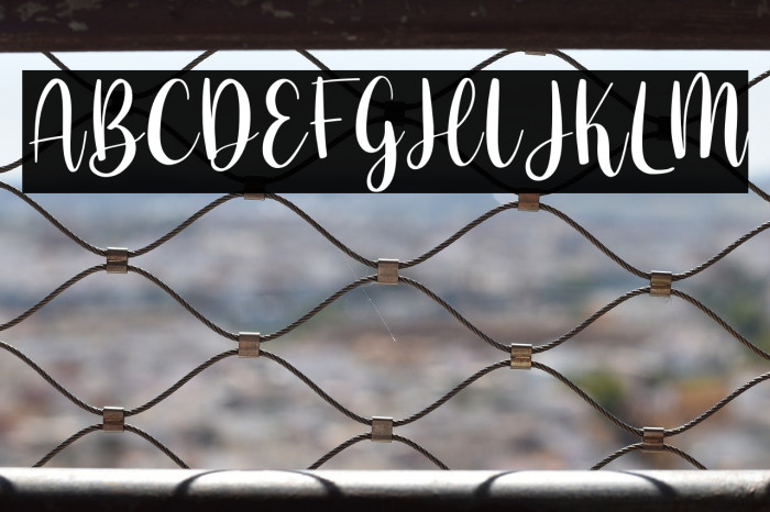 The Valentine Example 2