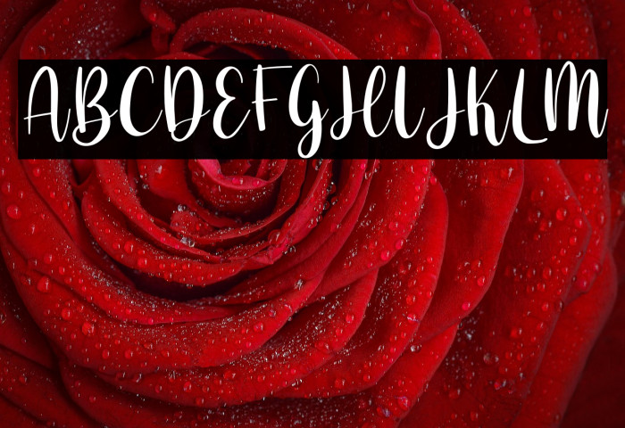 The Valentine Example 3