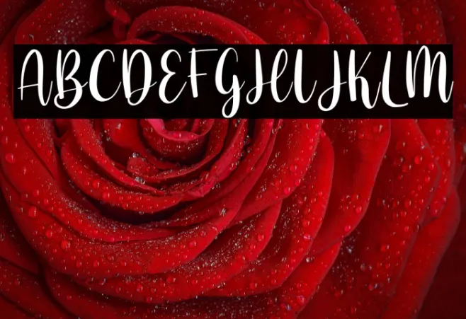 The Valentine Example 3