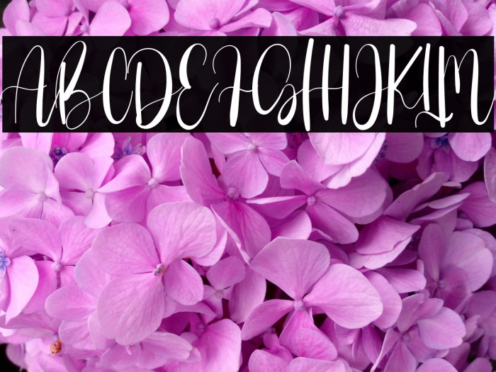 The Valentine Example 1