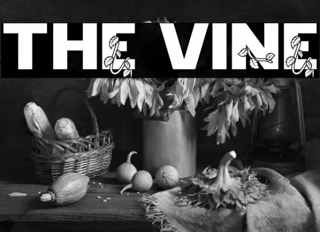 The Vine Font examples