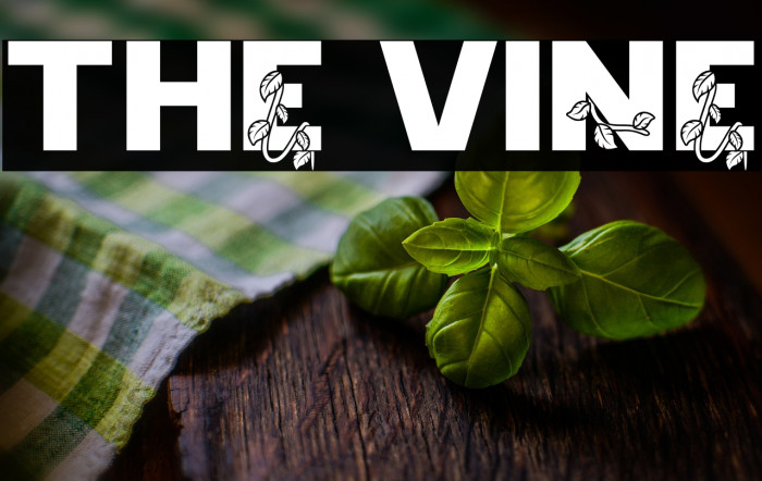 The Vine Example 2