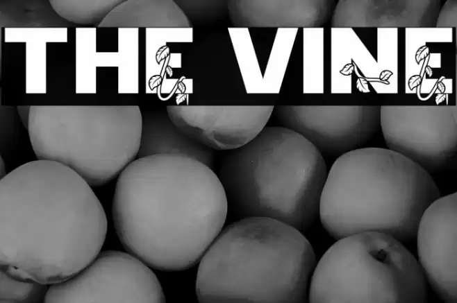 The Vine Font examples