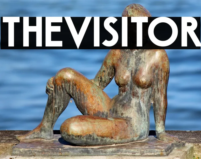 The Visitor Example 1