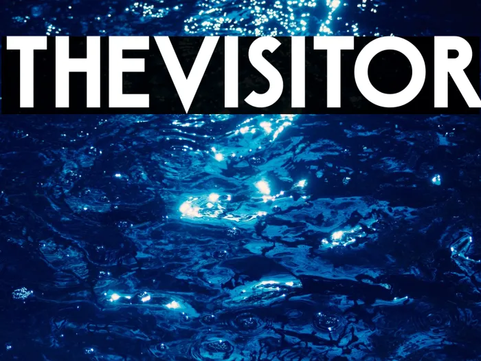 The Visitor Example 2