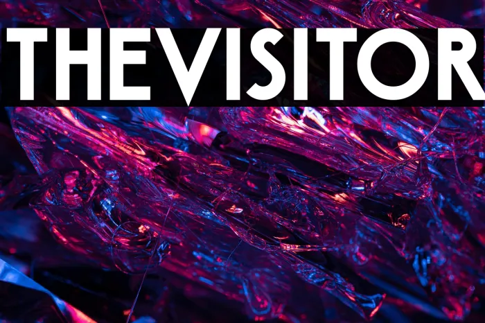 The Visitor Example 3