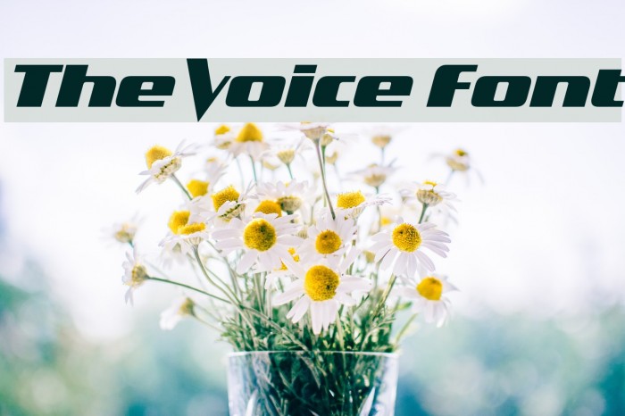 The Voice Font Font examples