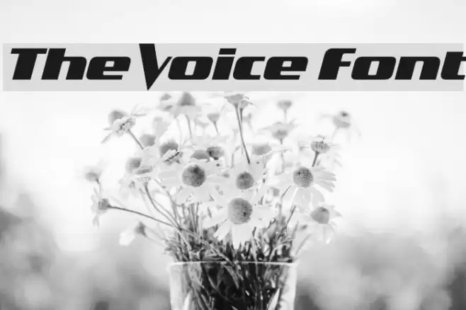 The Voice Font Font examples