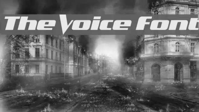 The Voice Font Font examples