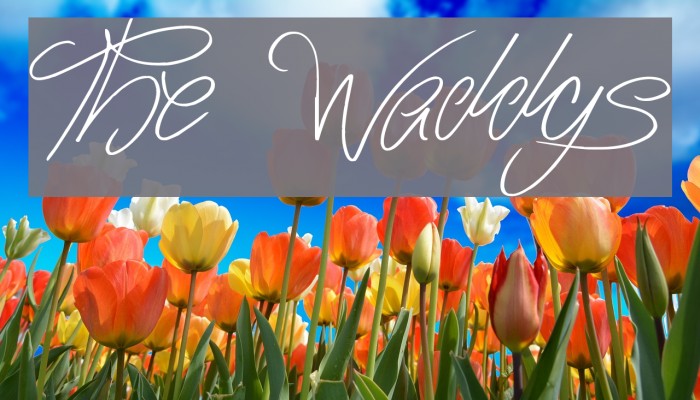 The Waddys Font examples