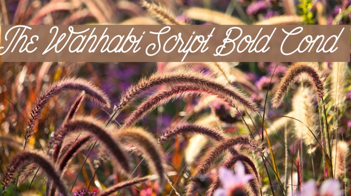 The Wahhabi Script Bold Cond Font examples