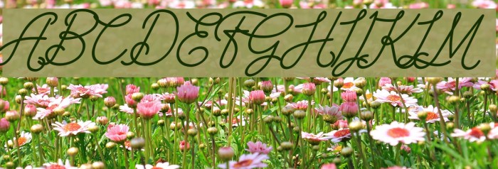 The Wahhabi Script Bold Italic Example 1