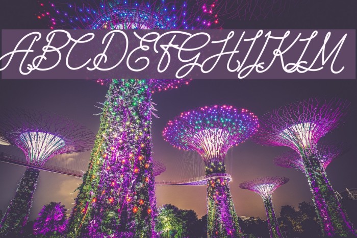 The Wahhabi Script Bold Italic Example 3