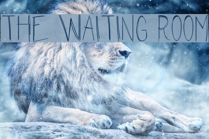 The Waiting Room Font examples