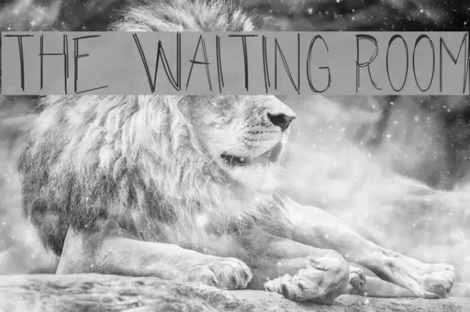The Waiting Room Шрифта examples