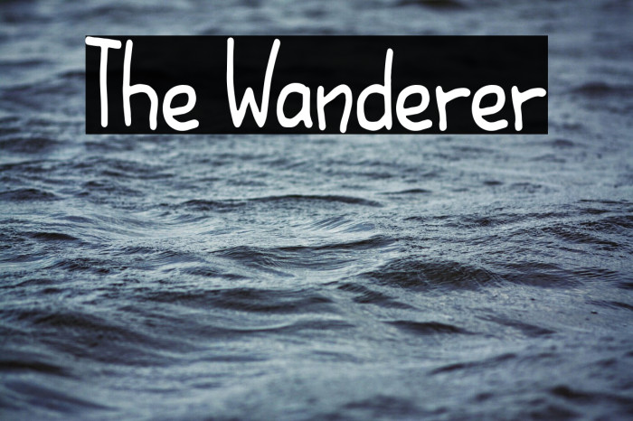 The Wanderer Example 1