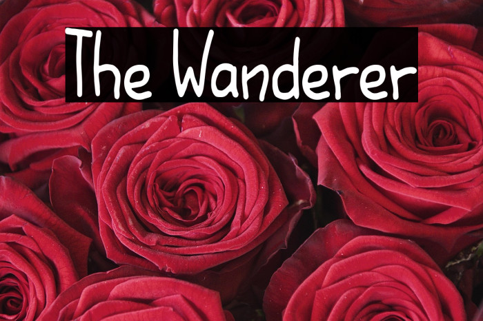 The Wanderer Example 2