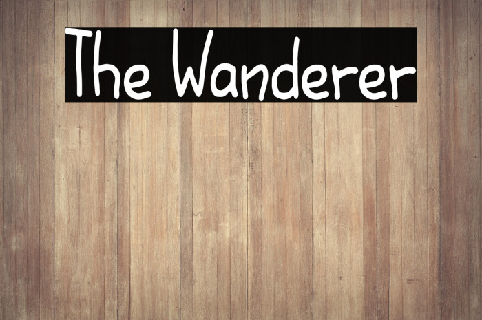 The Wanderer Example 3