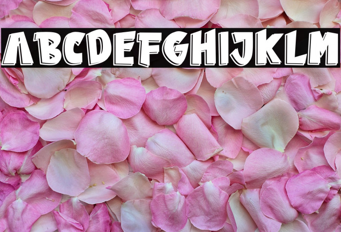 The Warrior Example 2