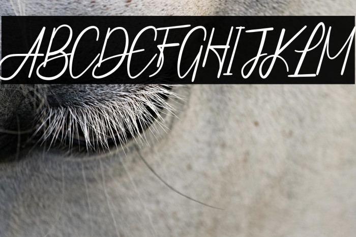 The Water Of Life Example 1