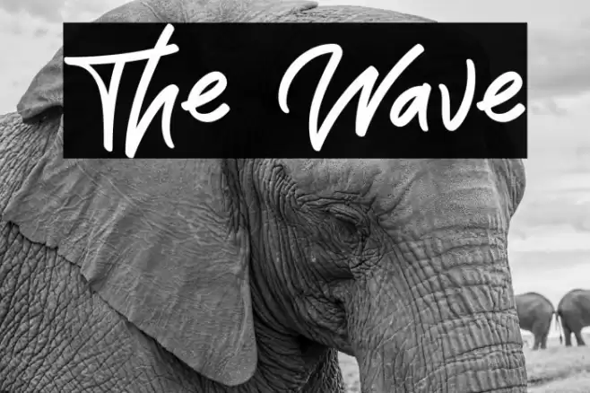 The Wave Font examples