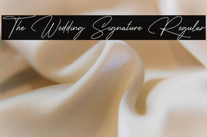 The Wedding Signature Regular Example 1