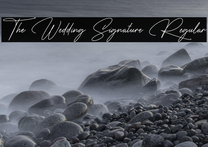 The Wedding Signature Regular Example 2