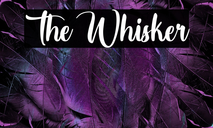 The Whisker Example 1