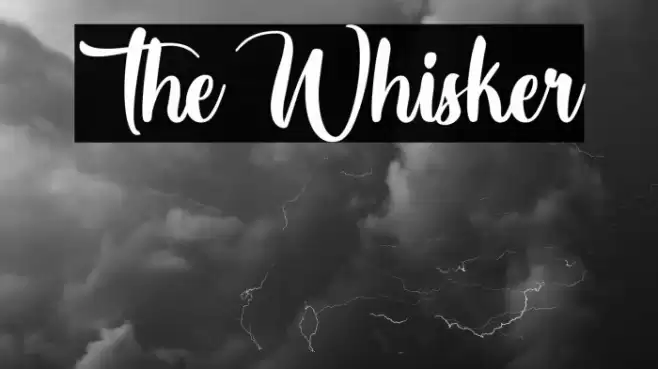 The Whisker Font examples