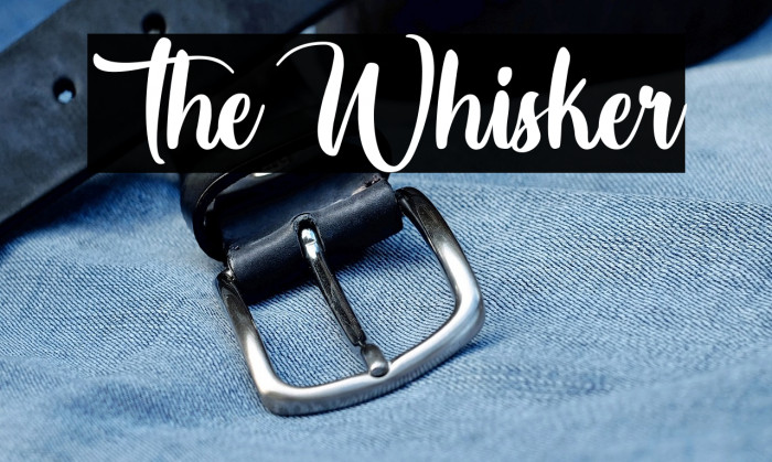 The Whisker Example 3