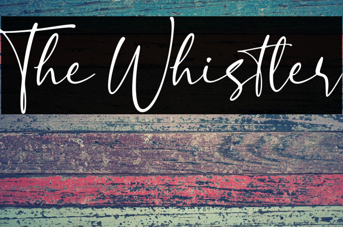 The Whistler Example 1