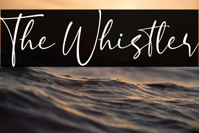 The Whistler Example 3