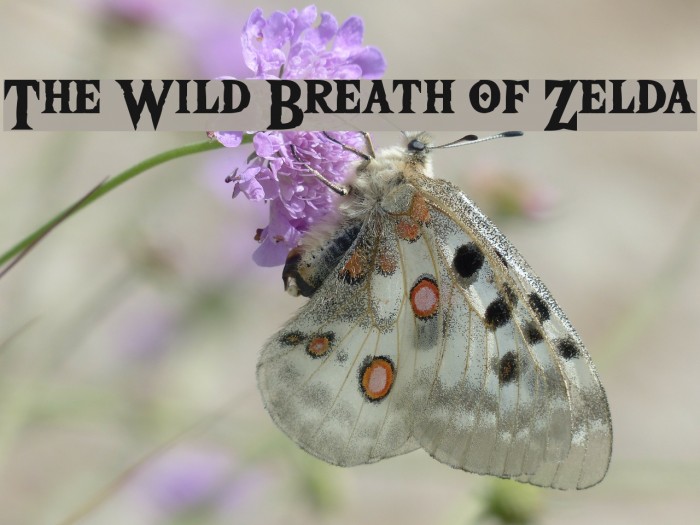 The Wild Breath of Zelda Font examples