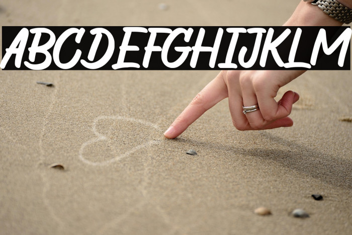 The Wild Chaos Demo Version Example 2