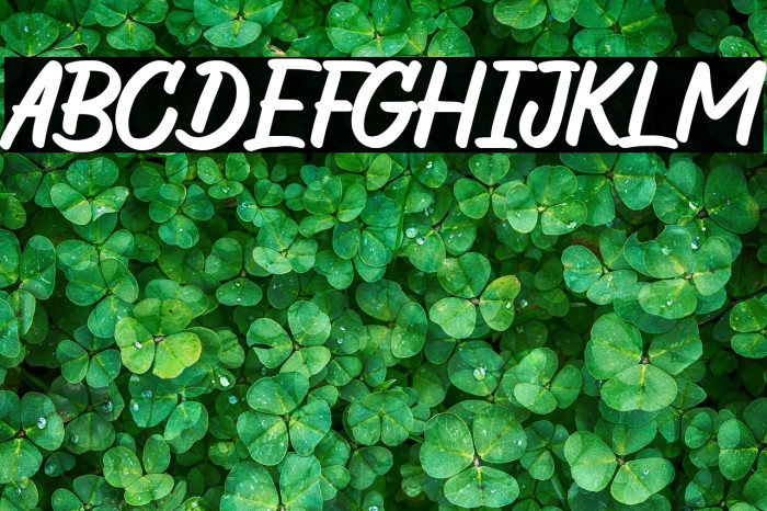 The Wild Chaos Demo Version Example 3